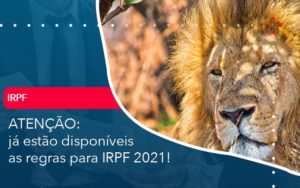 Ja Estao Disponiveis As Regras Para Irpf 2021 - Contabilidade em Nova Iguaçu - RJ | AMR Contabilidade